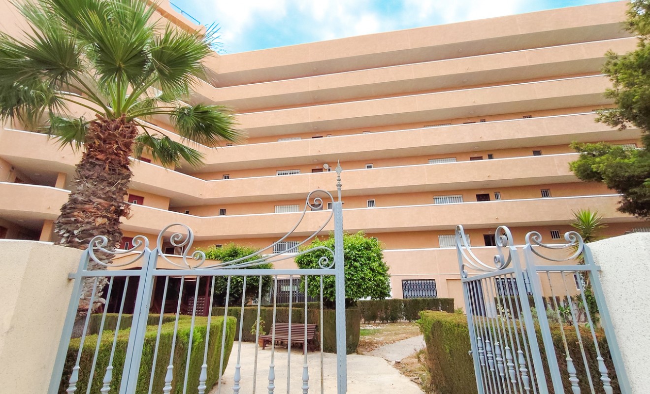 Revente - Appartement - La Zenia