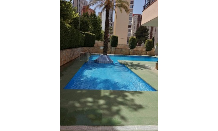 Sale - Apartment / flat - Benidorm - Rincón de Loix