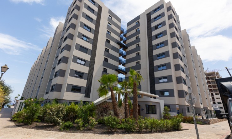 Wederverkoop - Appartement - Torrevieja - Punta prima