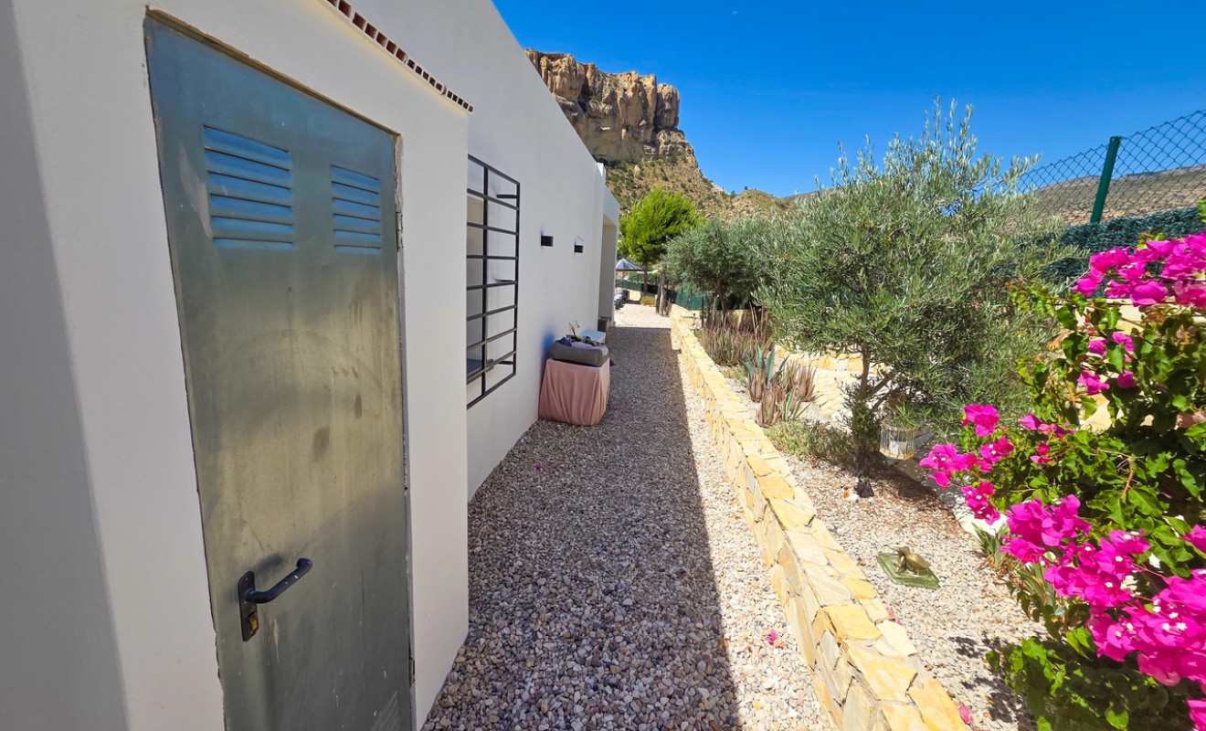 Sale - Villa - Crevillente