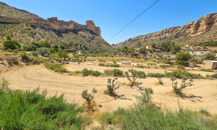 Sale - Villa - Crevillente