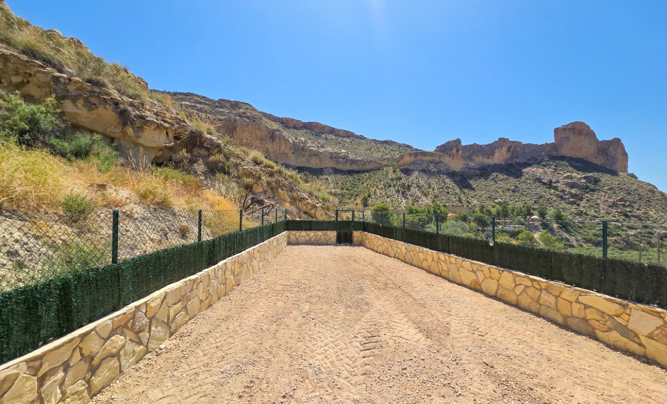 Sale - Villa - Crevillente