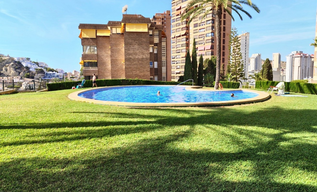 Wederverkoop - Apartment / flat - Benidorm - Zona de Poniente