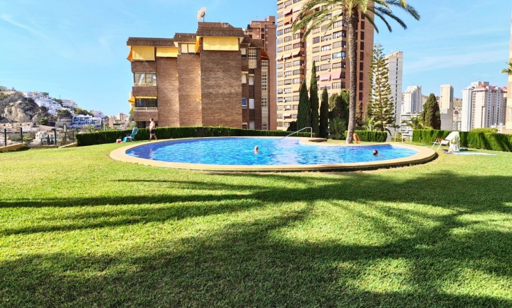 Wederverkoop - Apartment / flat - Benidorm - Zona de Poniente
