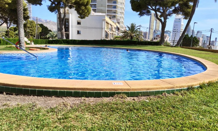 Wederverkoop - Apartment / flat - Benidorm - Zona de Poniente