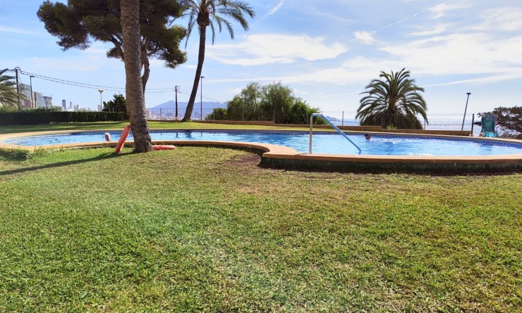 Wederverkoop - Apartment / flat - Benidorm - Zona de Poniente