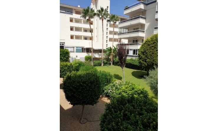 Wederverkoop - Apartment / flat - Albir - center