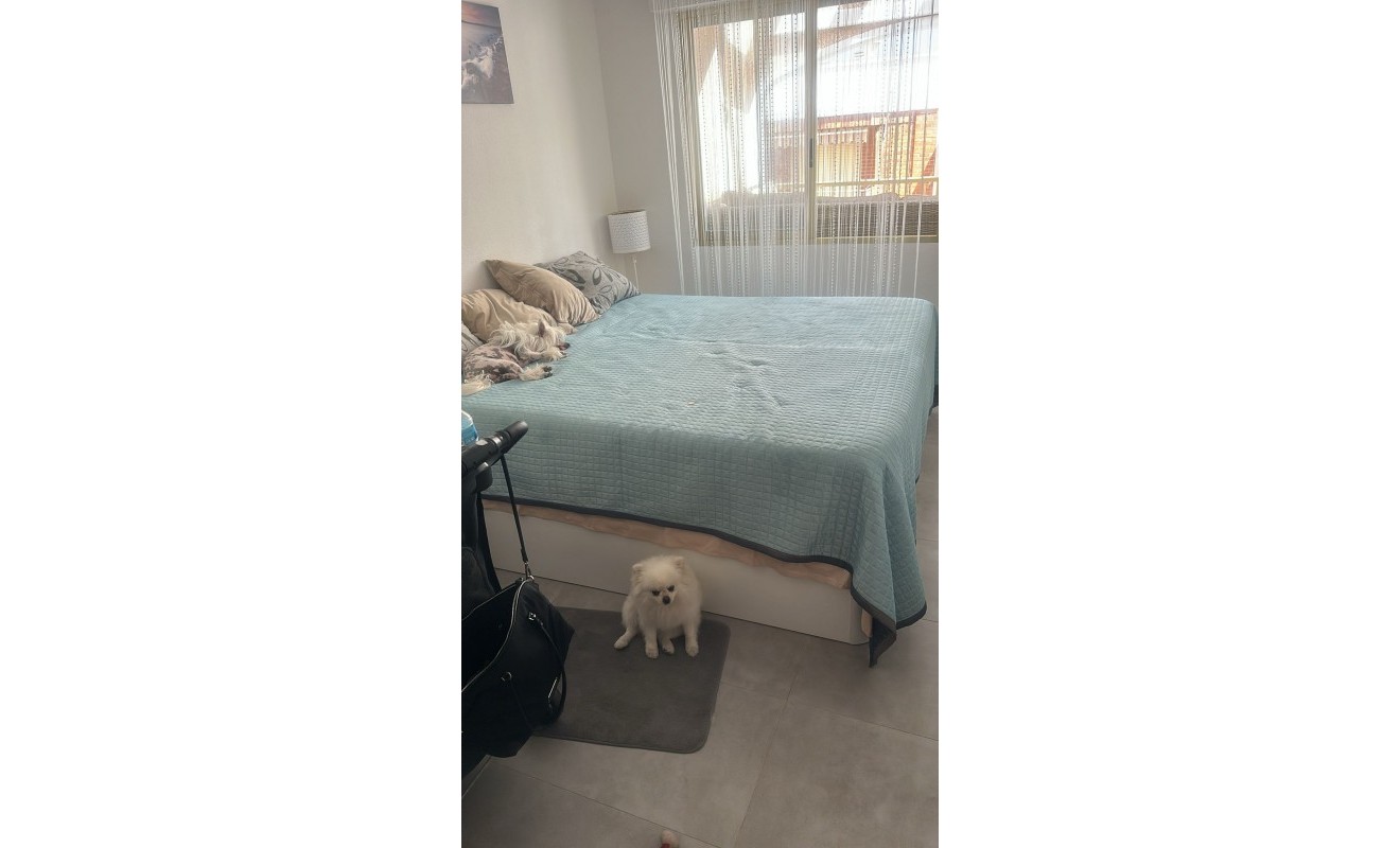 Wederverkoop - Penthouse - Torrevieja - Playa de los Locos