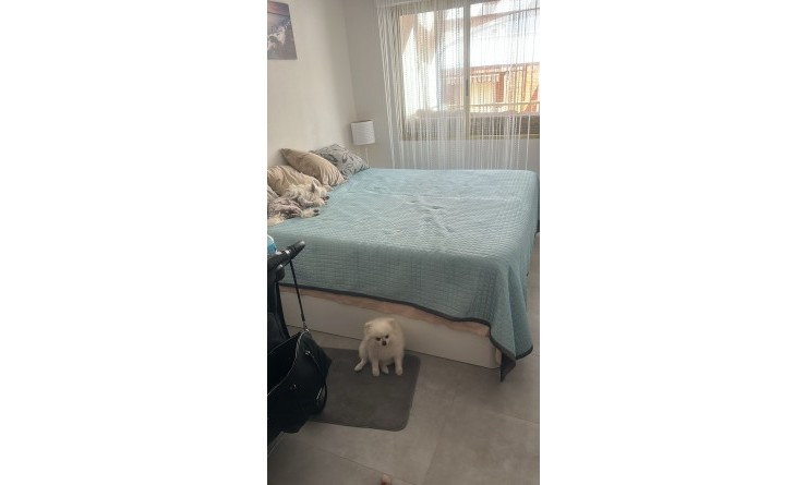 Wederverkoop - Penthouse - Torrevieja - Playa de los Locos