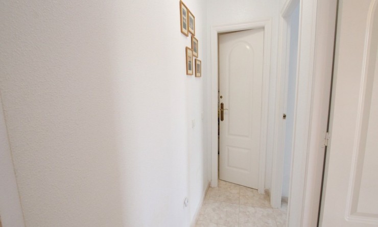 Revente - Appartement - Ciudad quesada