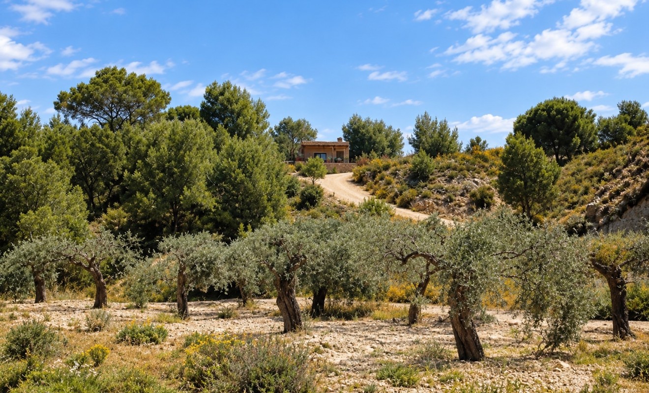 Sale - Villa - Murcia - Costa Blanca Sur