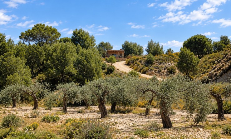 Sale - Villa - Murcia - Costa Blanca Sur