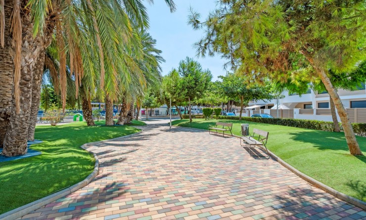 Sale - Apartments - San Pedro del Pinatar - San Pedro del Pinatar Centro