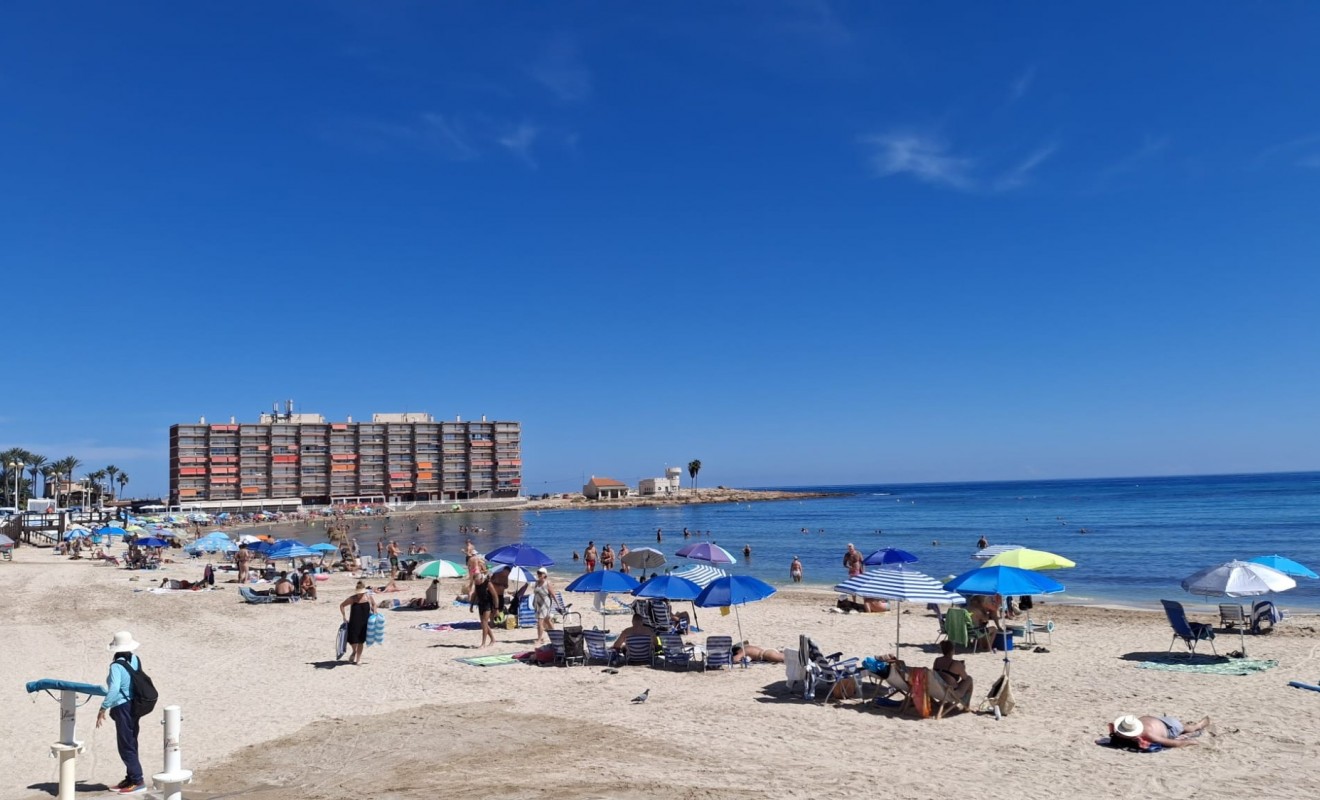 Wederverkoop - Apartment / Duplex - Torrevieja - Playa de los Locos