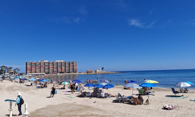 Wederverkoop - Apartment / Duplex - Torrevieja - Playa de los Locos