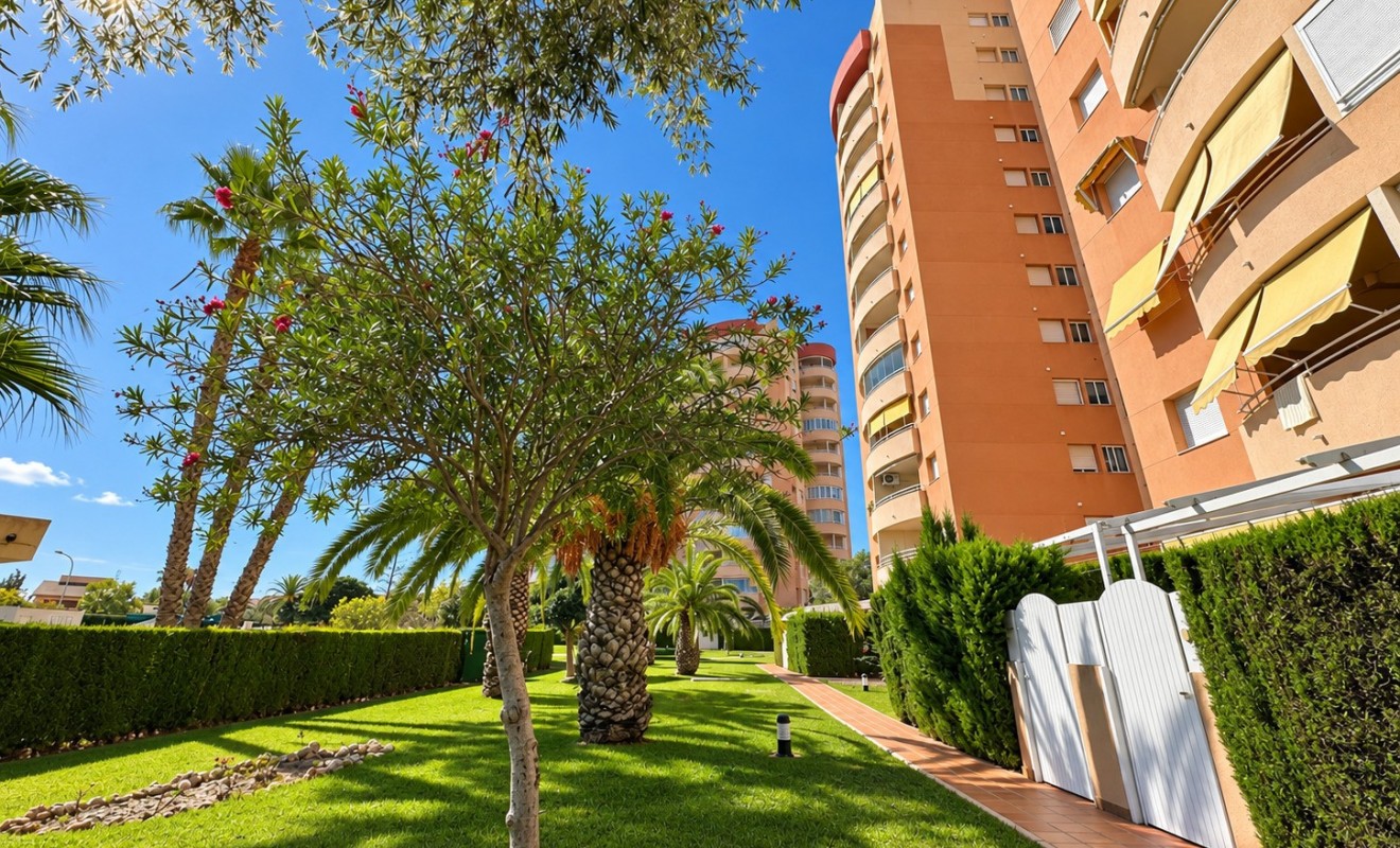 Wederverkoop - Apartment / Duplex - Orihuela Costa - Campoamor