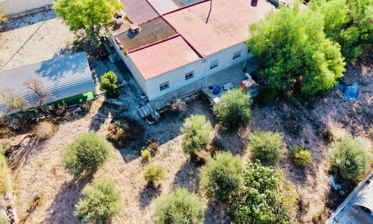 Revente - Detached villa - Crevillente