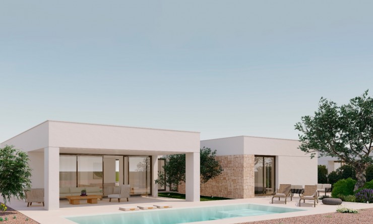 New Build - Detached - Hacienda del Alamo Golf