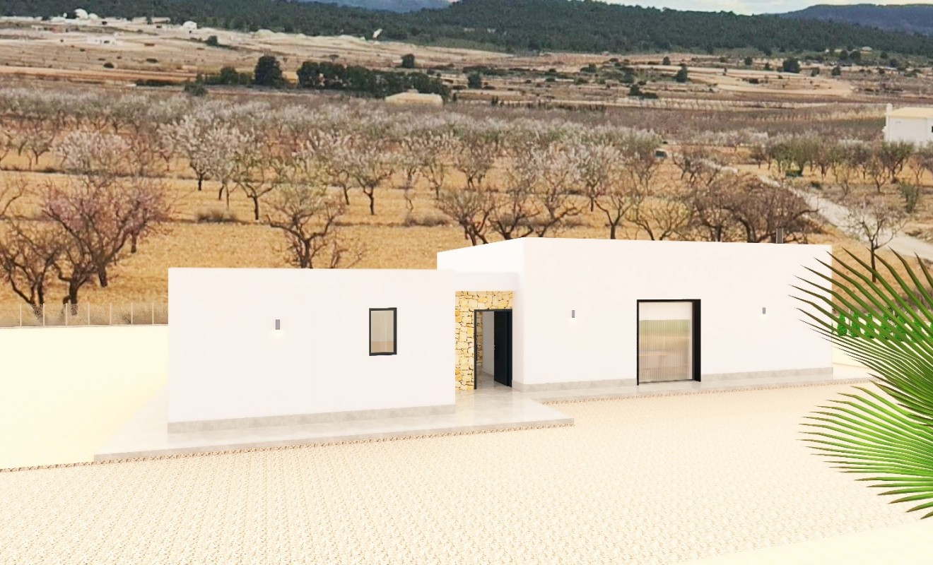 Nieuwbouw woningen - Detached - Pinoso