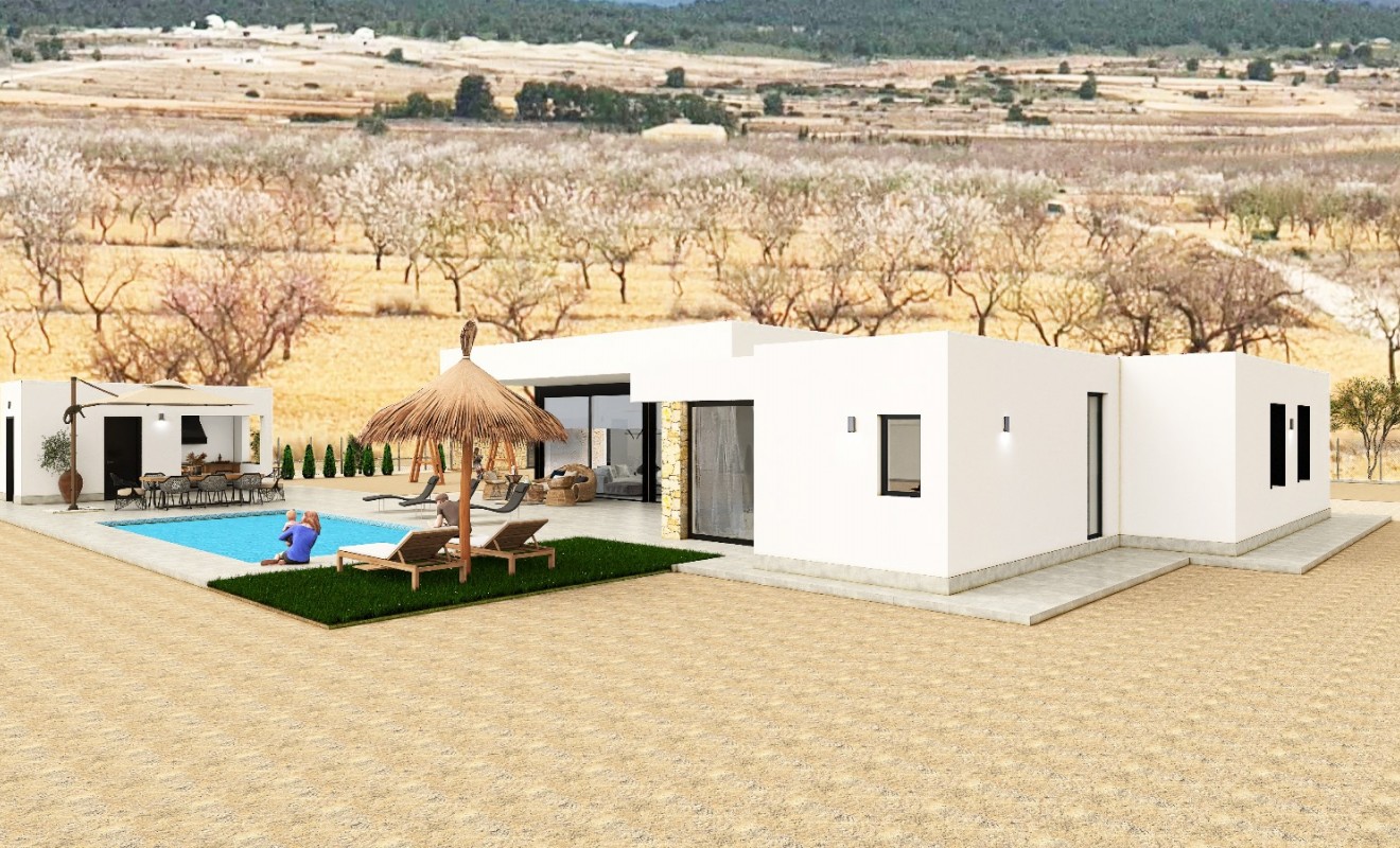 Nieuwbouw woningen - Detached - Pinoso