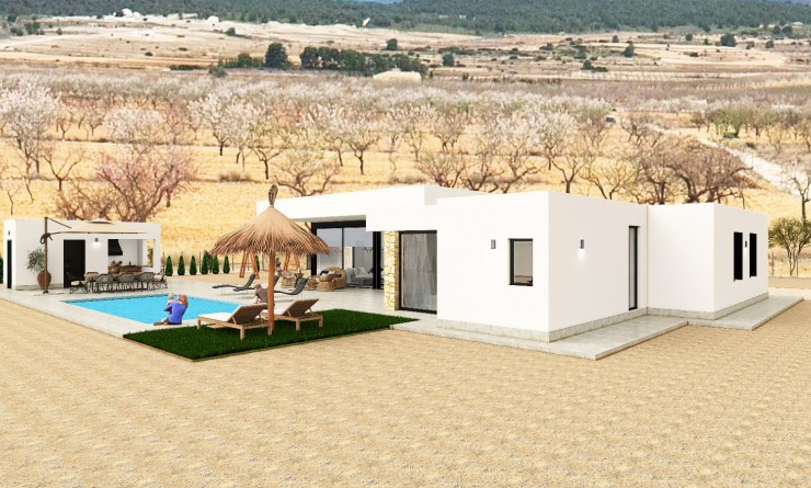 Nieuwbouw woningen - Detached - Pinoso