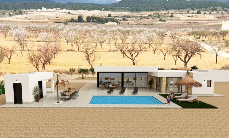 Nieuwbouw woningen - Detached - Pinoso