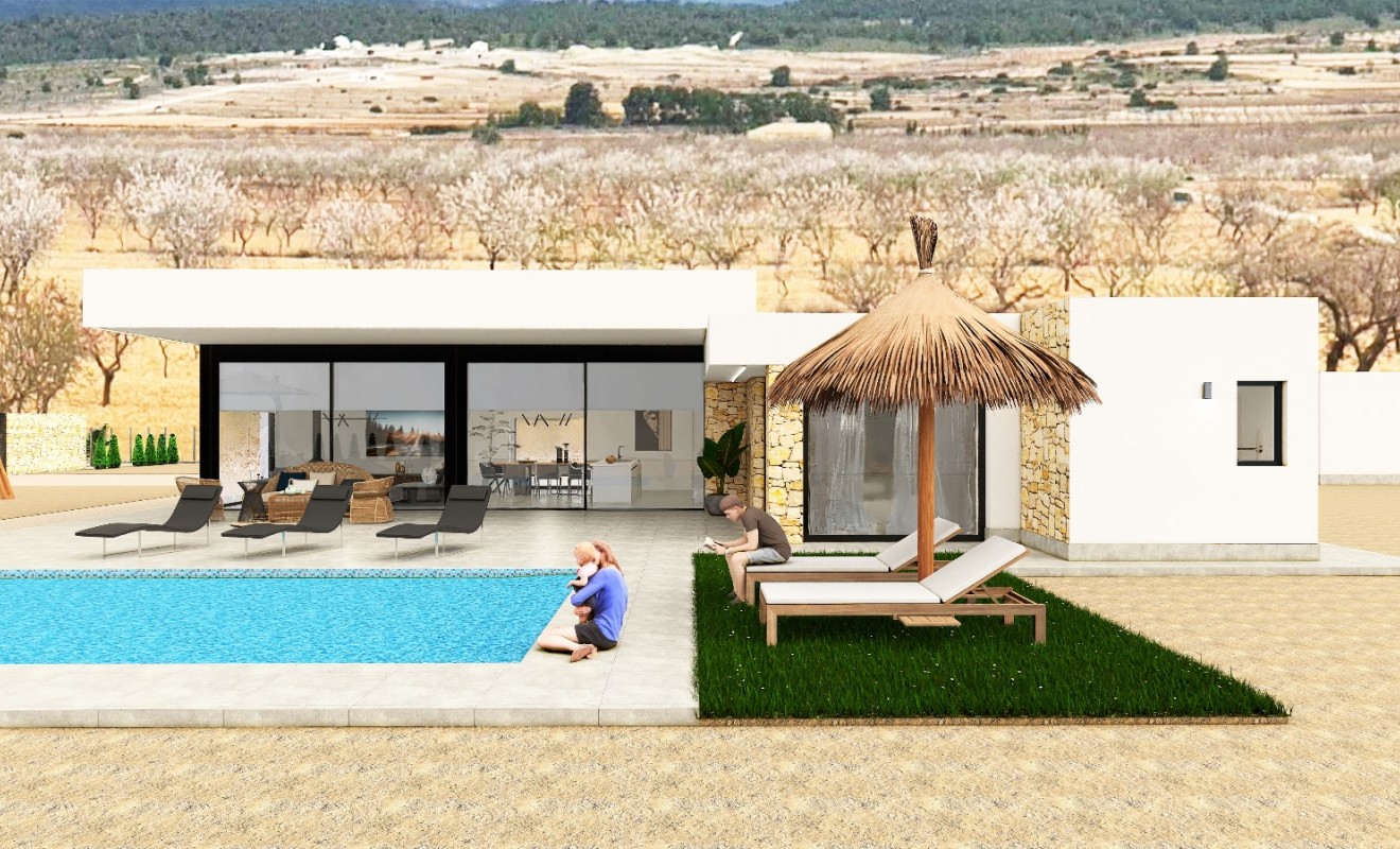 Nieuwbouw woningen - Detached - Pinoso