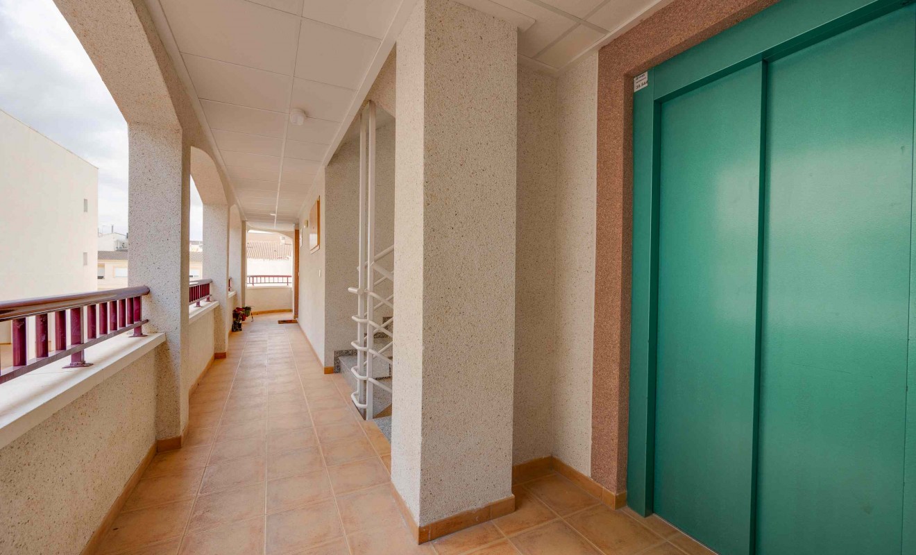 New Build - ground-floor - San Fulgencio