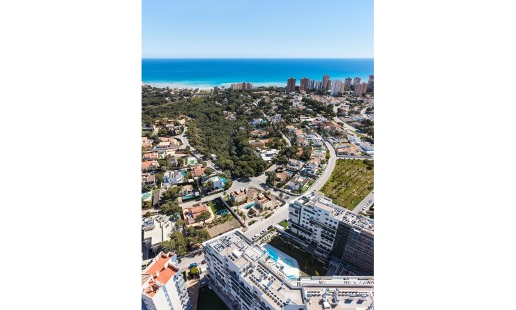 New Build - Villa - Dehesa de Campoamor