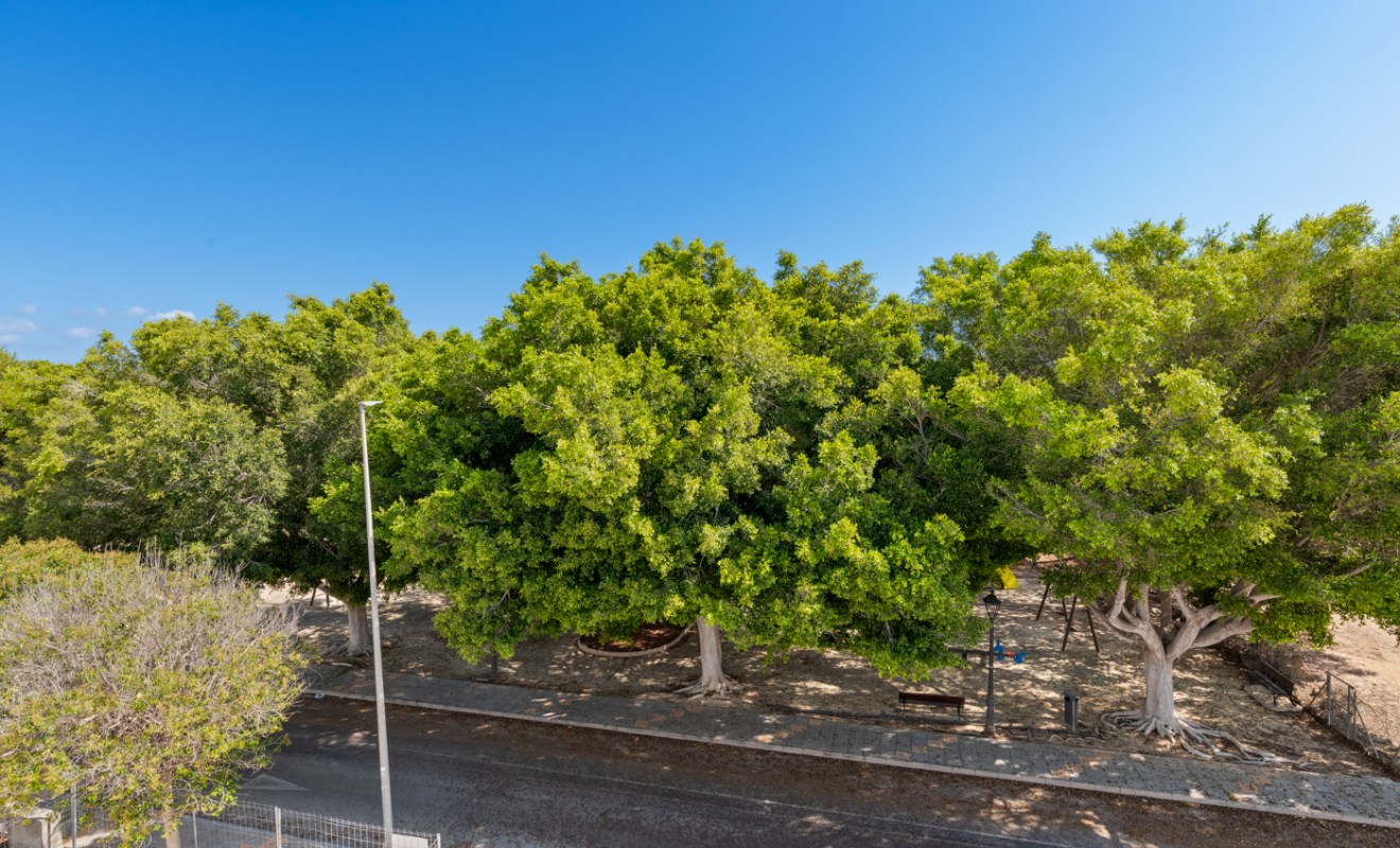 New Build - Villa - Mil Palmeras