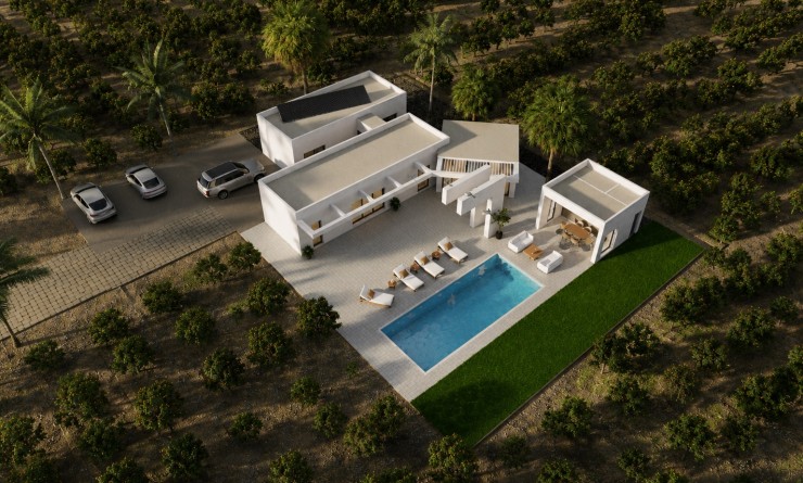 Nieuwbouw woningen - Detached - Benejúzar