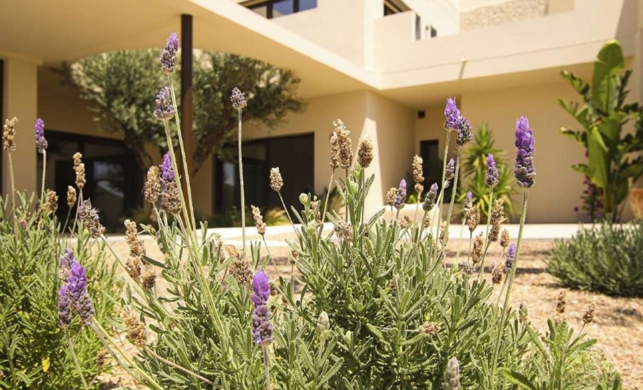 New Build - Villa - La marina