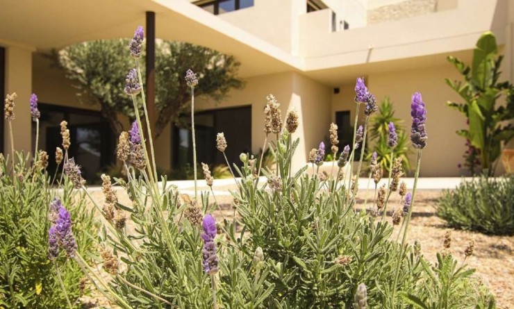 New Build - Villa - La marina