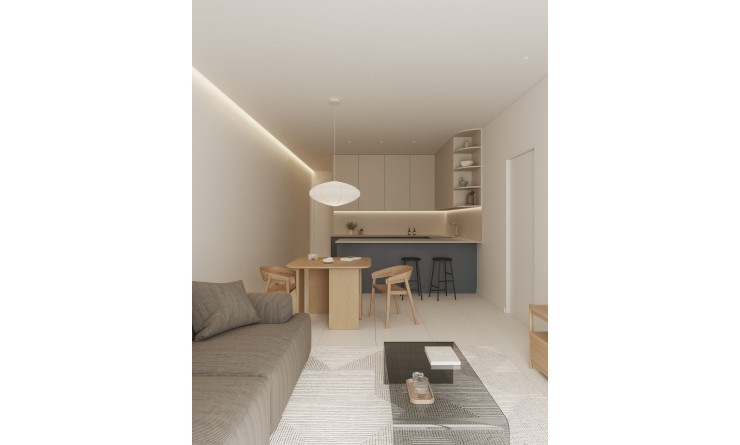 New Build - Penthouse - Torrevieja - torrevieja