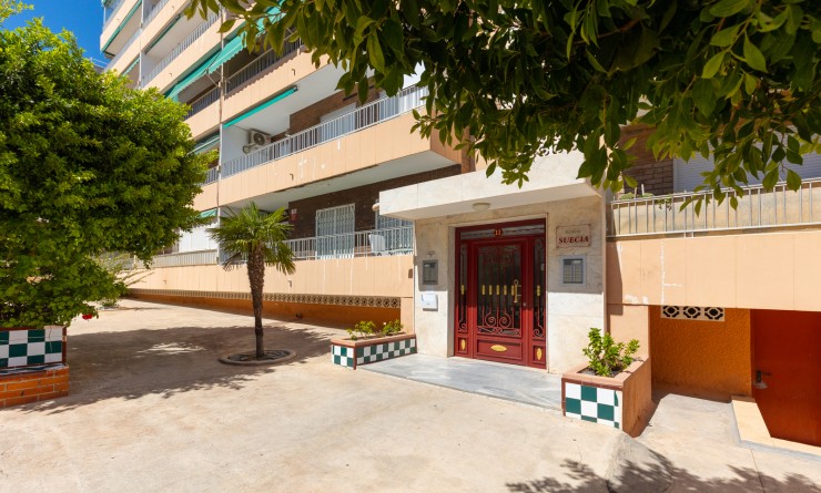 Wederverkoop - Appartement - Torrevieja - Rocio del mar