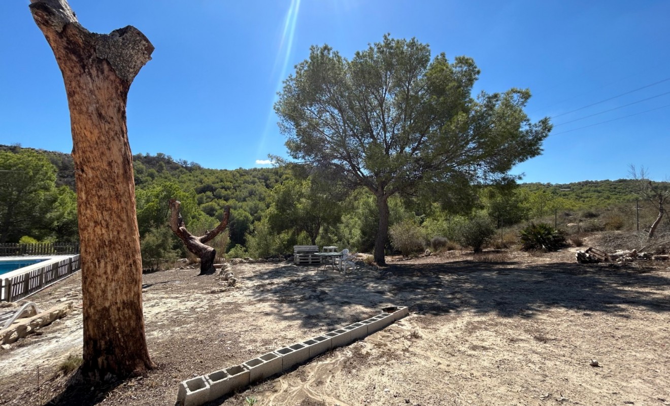 Sale - Country Property/Finca - Torremendo