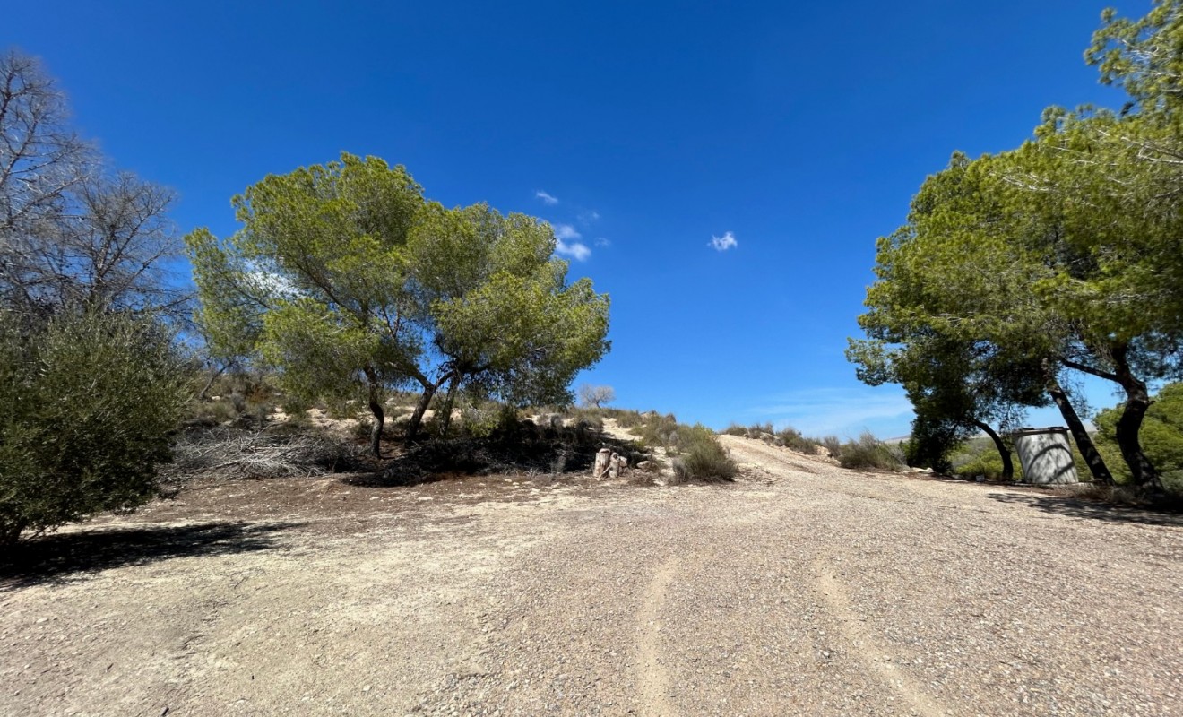 Sale - Country Property/Finca - Torremendo