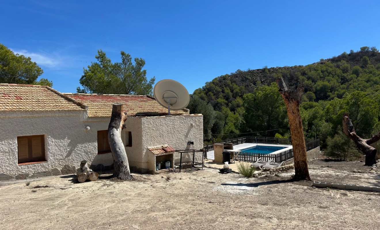 Sale - Country Property/Finca - Torremendo