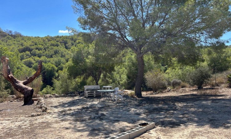 Sale - Country Property/Finca - Torremendo