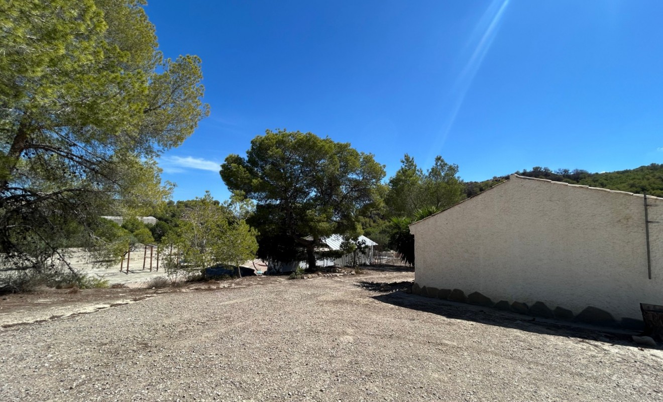 Sale - Country Property/Finca - Torremendo