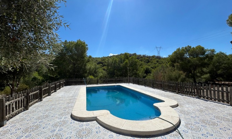 Sale - Country Property/Finca - Torremendo