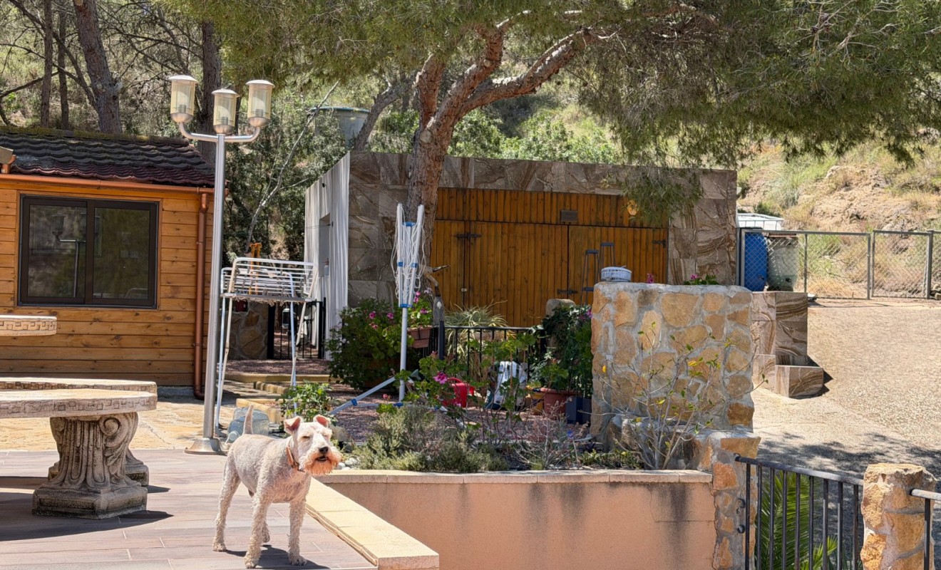 Wederverkoop - Country Property/Finca - Orihuela - Torremendo