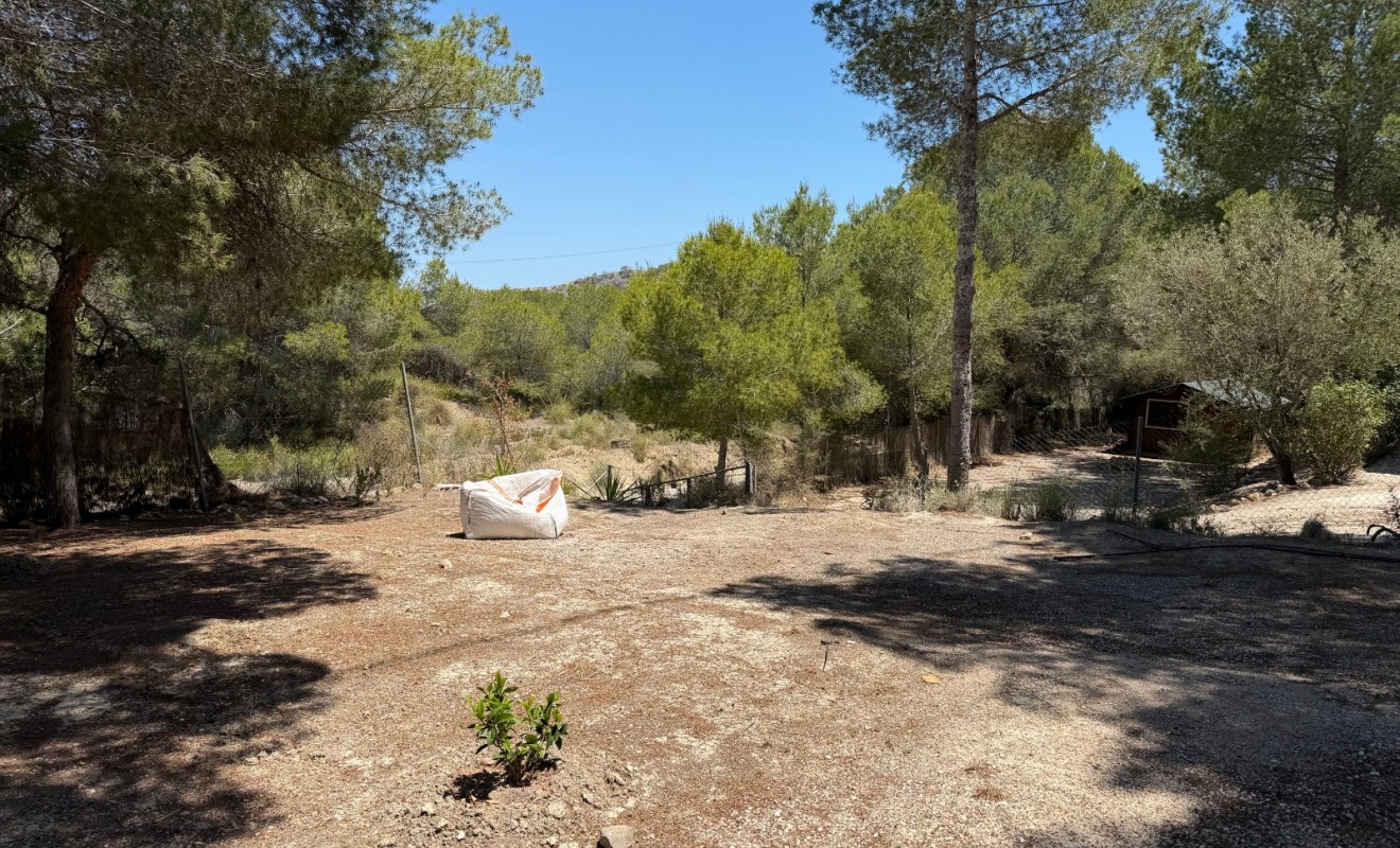 Wederverkoop - Country Property/Finca - Orihuela - Torremendo