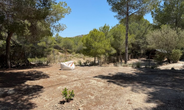 Wederverkoop - Country Property/Finca - Orihuela - Torremendo