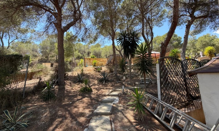 Wederverkoop - Country Property/Finca - Orihuela - Torremendo