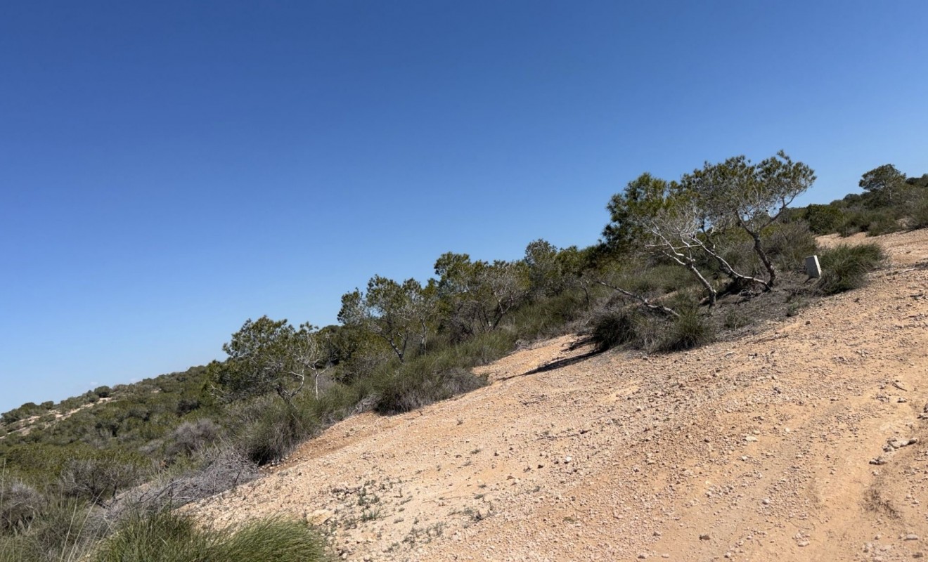 Wederverkoop - Land and Plots - San Fulgencio - La Marina