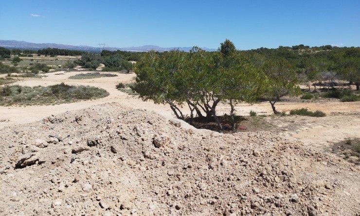 Wederverkoop - Land and Plots - San Fulgencio - La Marina