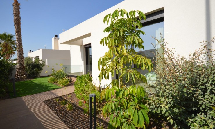 Sale - Villa - Algorfa - Comunidad valenciana