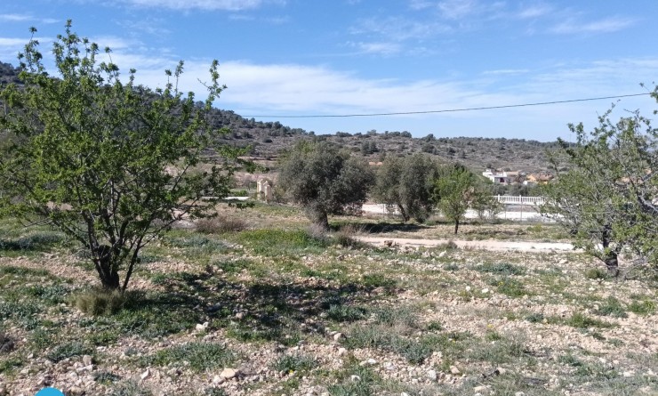 Sale - Villa - Abanilla