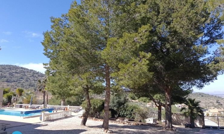 Sale - Villa - Abanilla